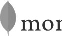 A gray leaf-shaped icon is positioned next to the dark gray letters "mor" in a serif font, set against a transparent background.